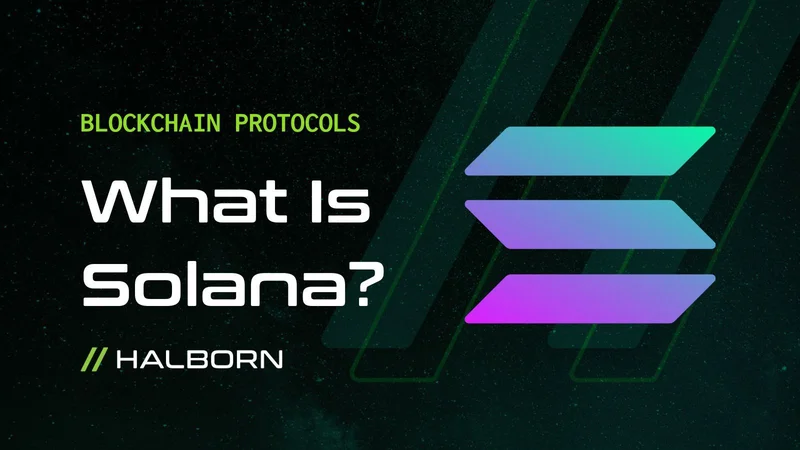 Solana's Bull Party is Over: What Happened?